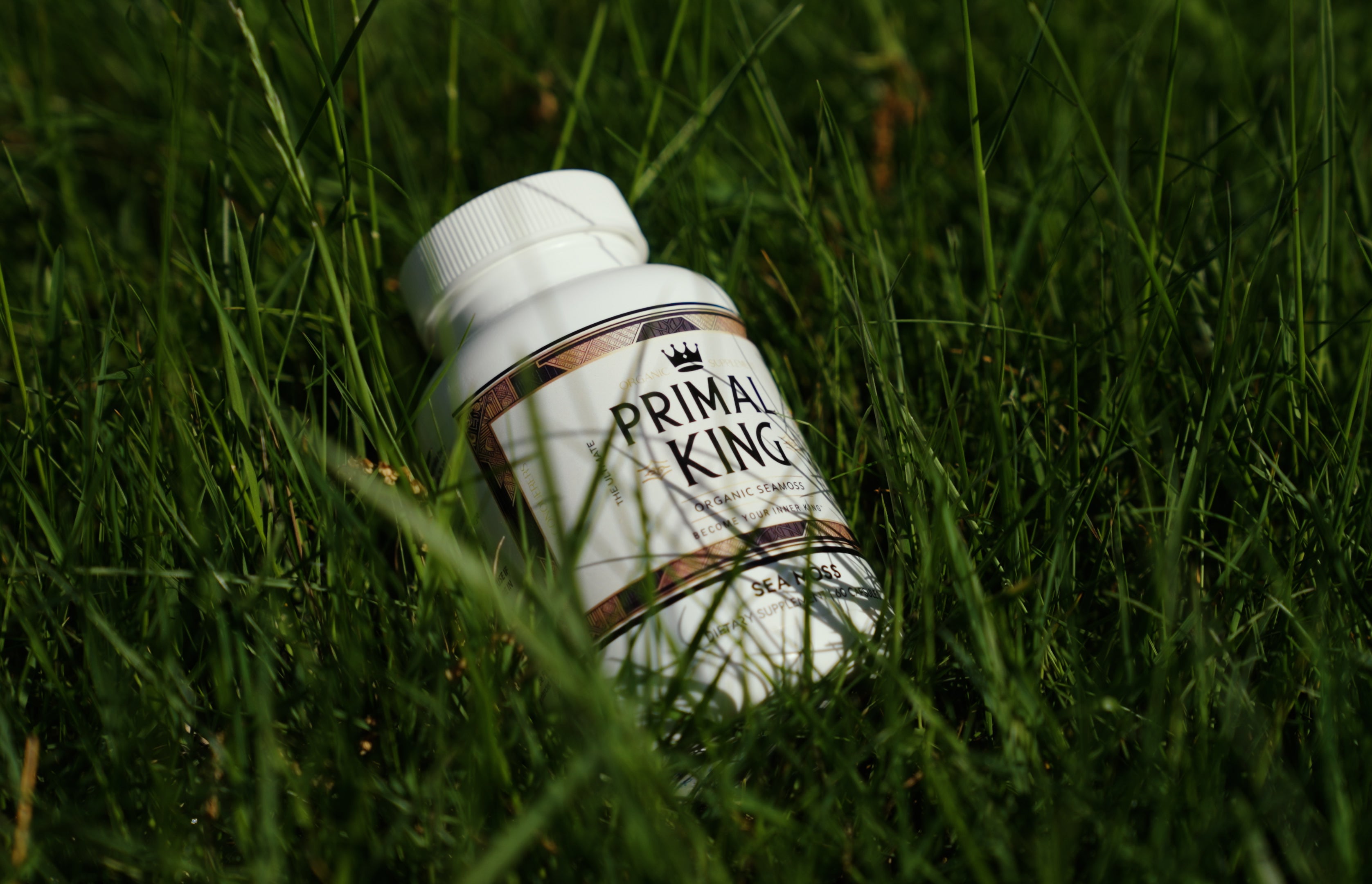 Organic Sea Moss Capsules – 97 Minerals | Primal King Naturals