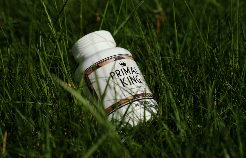 Primal King organic Irish sea moss capsules bottle - 97 minerals supplement